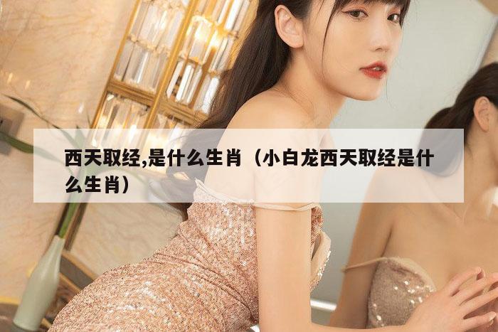 西天取经,是什么生肖（小白龙西天取经是什么生肖）