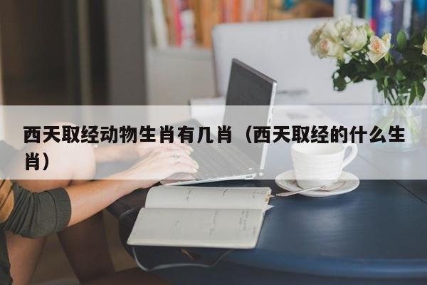 西天取经动物生肖有几肖（西天取经的什么生肖）