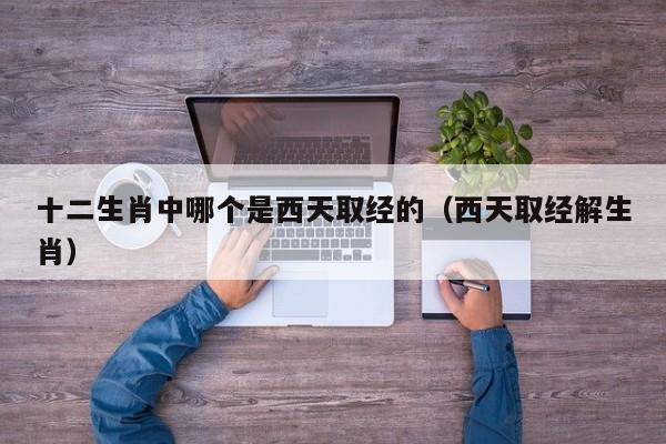 十二生肖中哪个是西天取经的（西天取经解生肖）