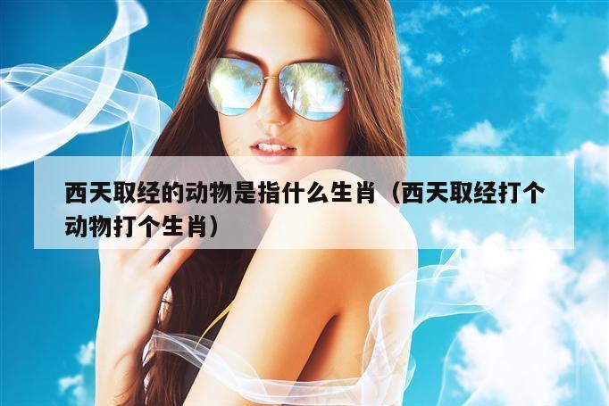 西天取经的动物是指什么生肖（西天取经打个动物打个生肖）