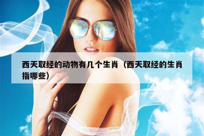 西天取经的动物有几个生肖（西天取经的生肖指哪些）