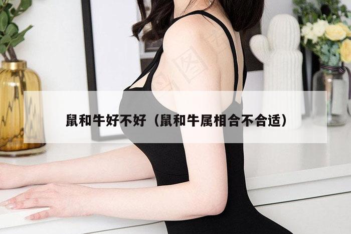 鼠和牛好不好（鼠和牛属相合不合适）